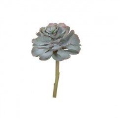 SUCCULENT ARTIFICIAL PLANT PMX - DECO FLOWER